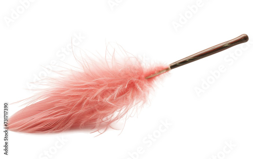 Minimalist Feather Duster for Contemporary Homes On Transparent Background.