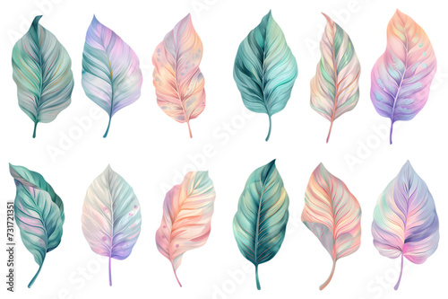 Tropical plants watercolor collection isolated on transparent background © Oksana