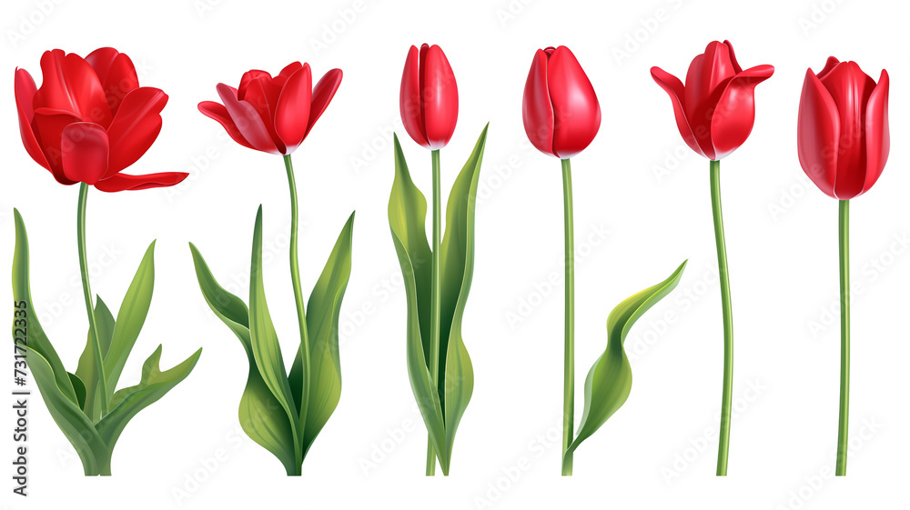 Set of plastic red tulip flowers with stem, and leaves. Set of plastic red tulip flowers with stem, and leaves.
