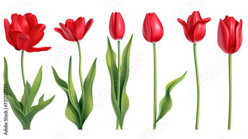 Set of plastic red tulip flowers with stem, and leaves.