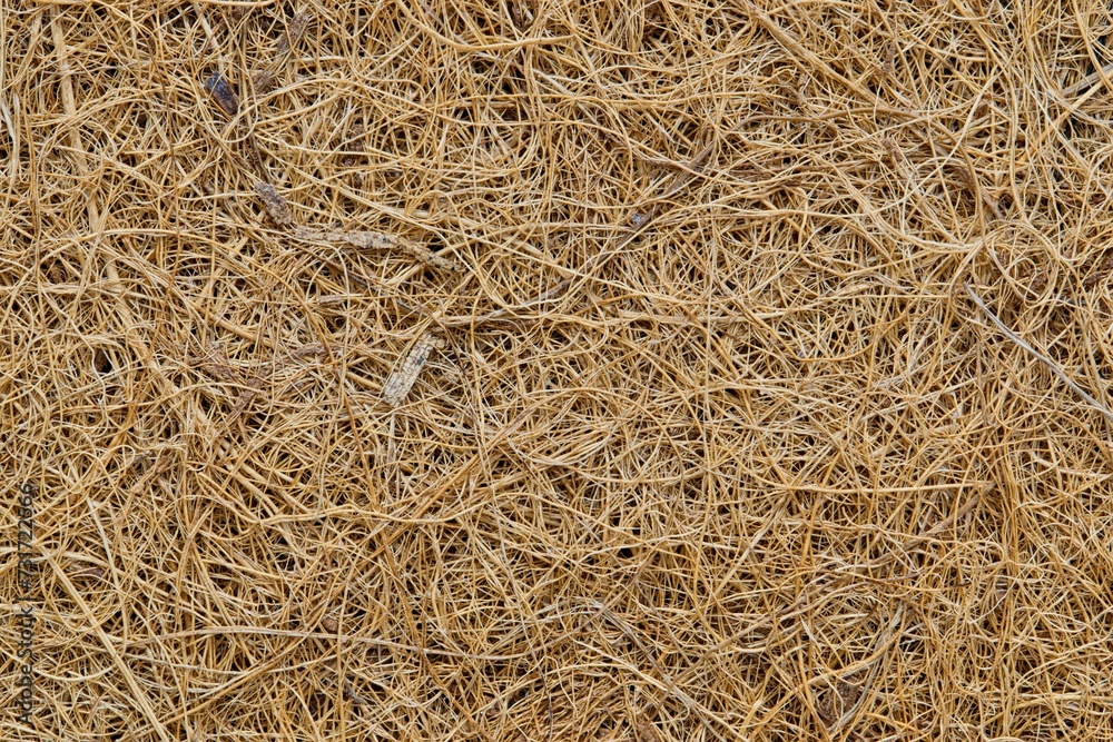 Coconut fiber solid background image. Material is used for many purposes including gardening and manufacturing of doormats, brushes and mattresses. Coconut fiber solid background image. Material is used for many purposes including gardening and manufacturing of doormats, brushes and mattresses.