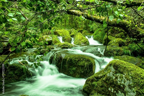 Long exposure shot of a mountain stream flowing through a mossy valley. photo