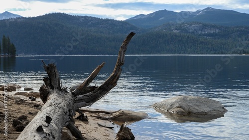 Scenic view of a tranquil lake surrounded by green pine trees and mountains