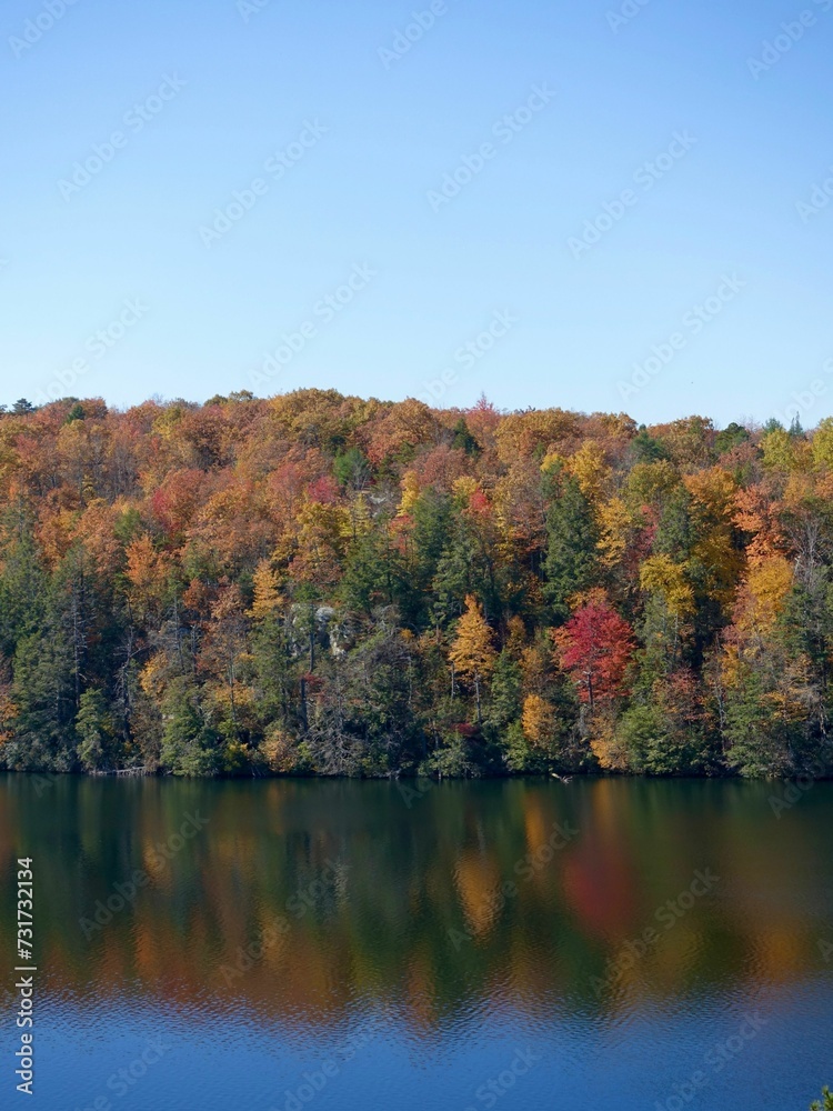 Idyllic landscape featuring a tranquil lake situated in the middle of a lush woodland Idyllic landscape featuring a tranquil lake situated in the middle of a lush woodland
