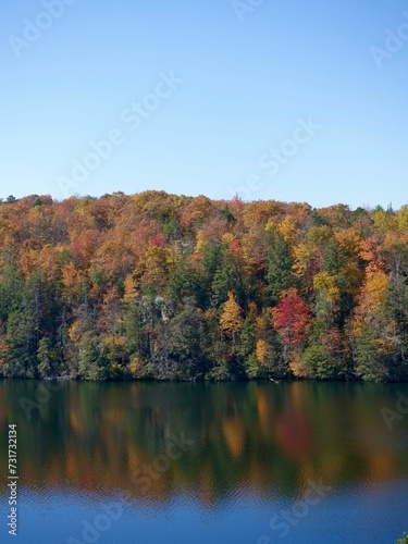 Idyllic landscape featuring a tranquil lake situated in the middle of a lush woodland