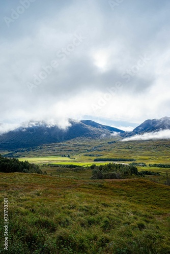 Vertical view of vibrant green meadow in Scotland on a cloudy day