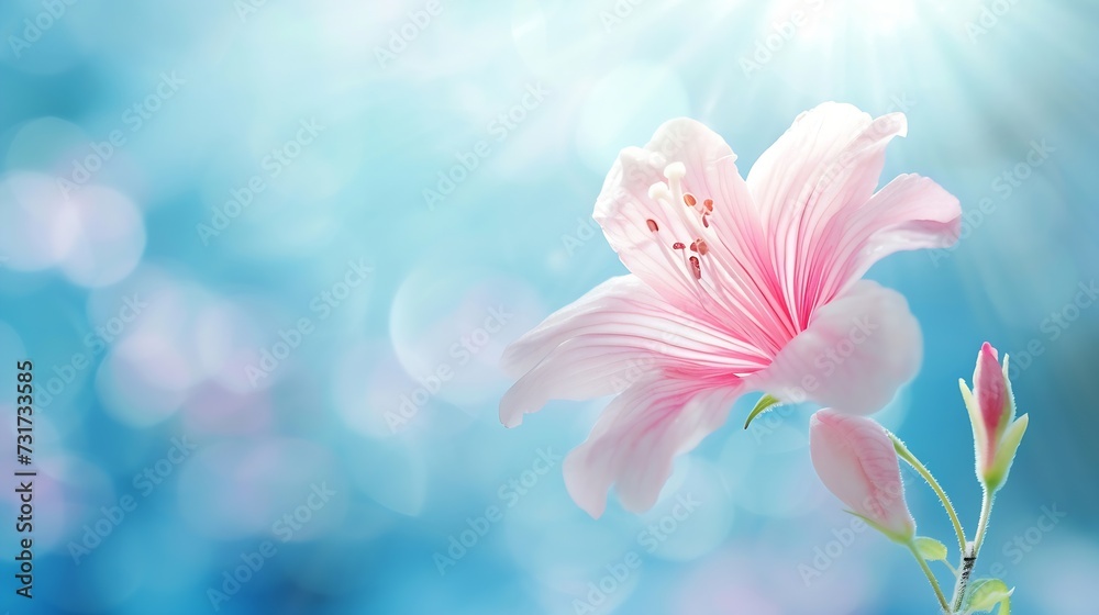 spring background; fresh flower on blue background. : Generative AI
