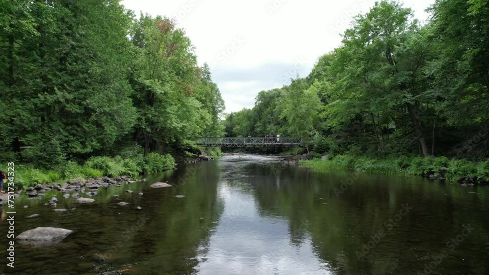 Drone view over a river flowing between green trees Drone view over a river flowing between green trees