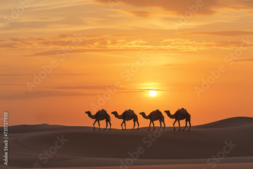 Silhouettes of camels in the Sahara desert at sunset, Morocco