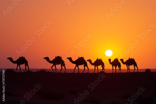 Silhouettes of camels in the Sahara desert at sunset  Morocco