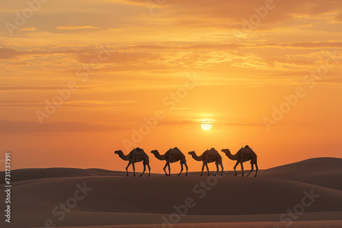 Silhouettes of camels in the Sahara desert at sunset, Morocco