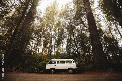 White off-road van parked in a forest clearing, illuminated by warm natural light