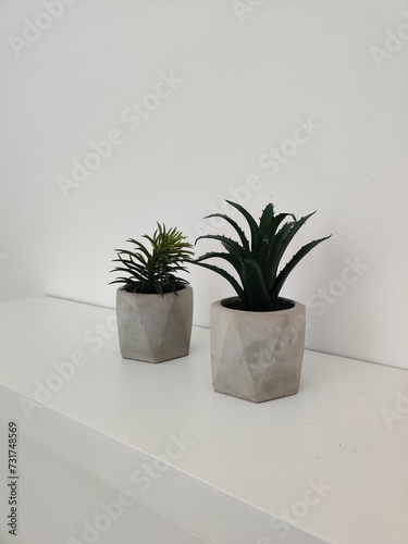 White shelf holding two potted plants, with greenery and soil visible in the pots.