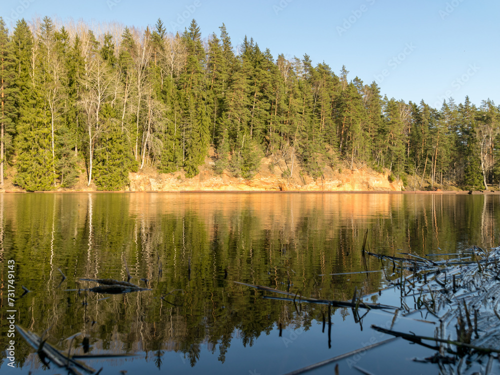 water reflections of trees, early spring landscape, with reflection on mirror water
