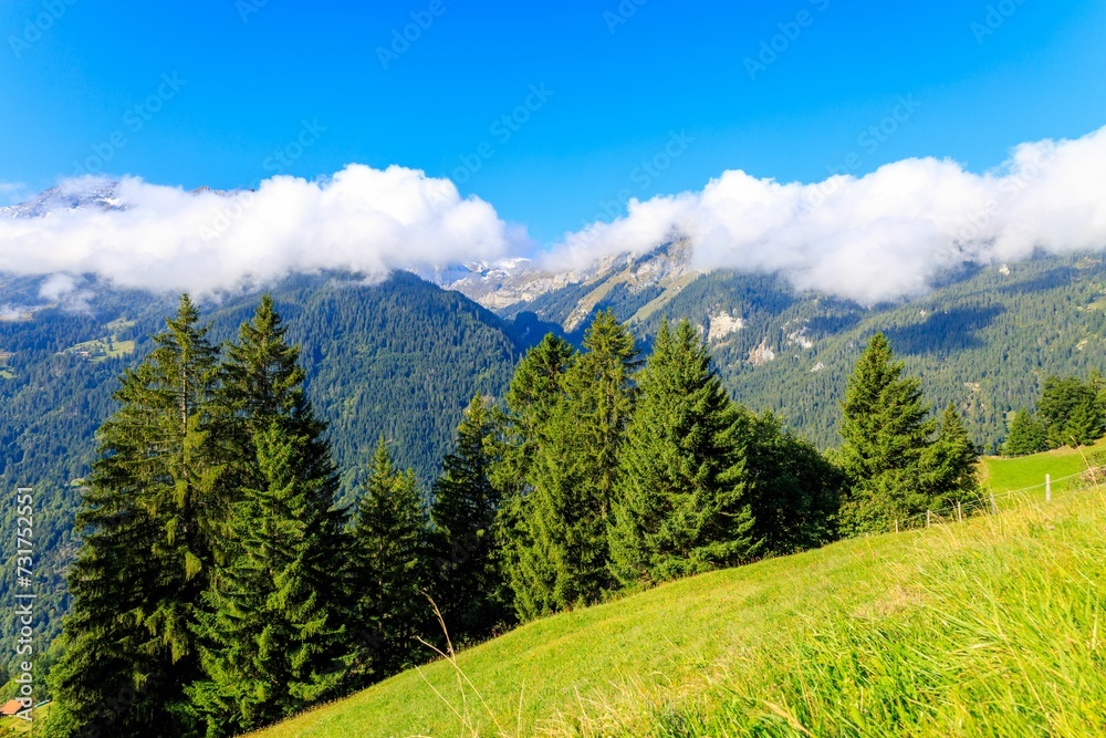 Vast countryside view of lush grasslands dotted with trees, with majestic mountain peaks