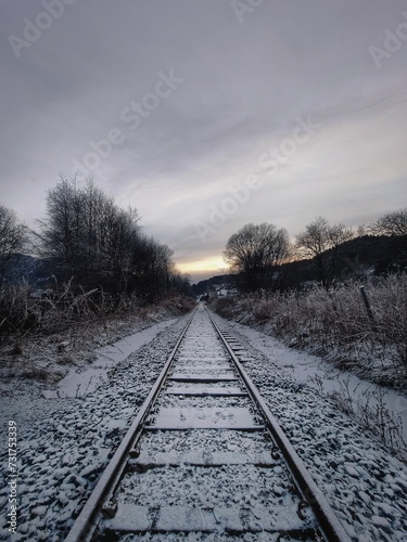 Scenic winter view with a railroad track covered in fresh snow with trees and bushes