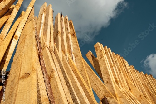 The piles of wood are placed to dry in Iringa region photo