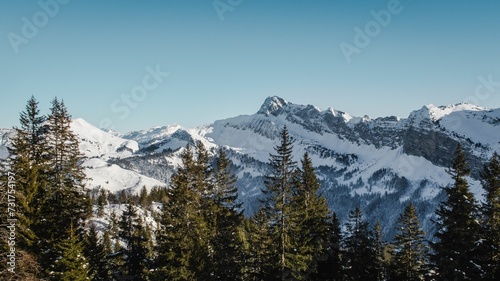 Landscape of rocky mountains covered in forests and snow in the countryside