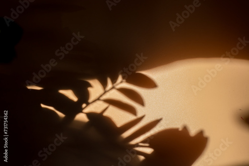 Shadow of leaves on a beige background, Wall light with shadows, shadow on beige wall background texture.