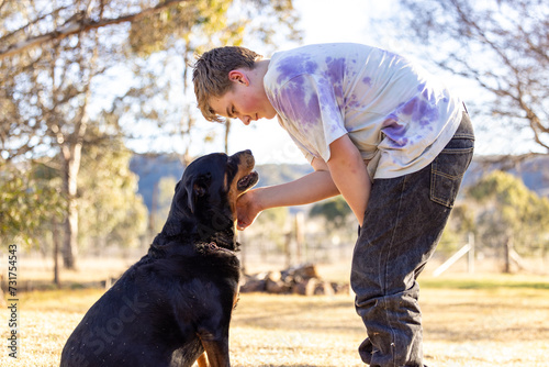 Teen boy showing affection to sitting rottweiler dog photo