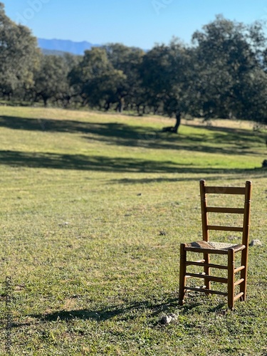 Isolated chair in a grassy field in a sunny orchard in Cordoba.