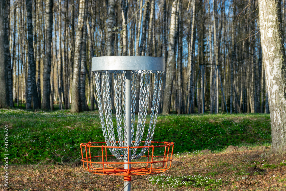 a disc golf hole on green grass with birch grove in background, disc golf basket in a park