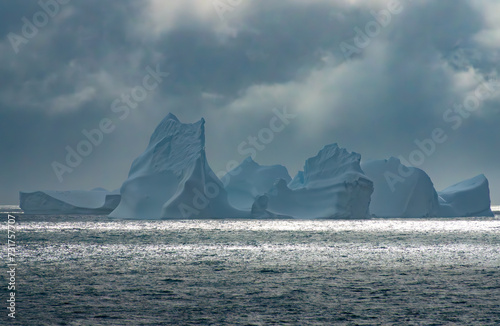 Tableau sur toile Elephant Island, Antarctica