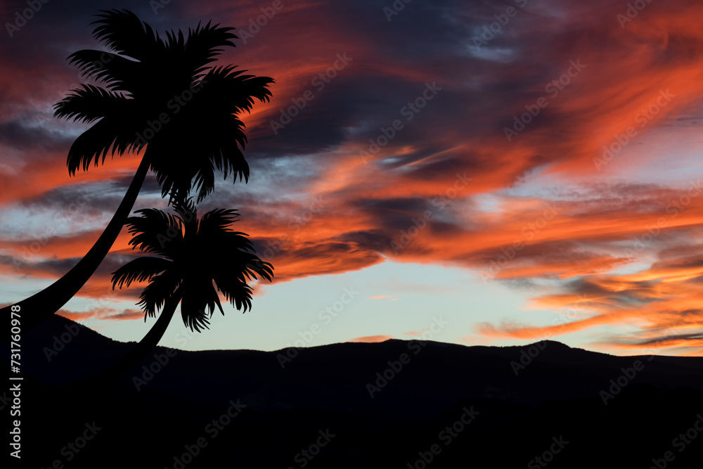 Silhouette of palm trees in the landscape at sunset. Twilight and exotic.