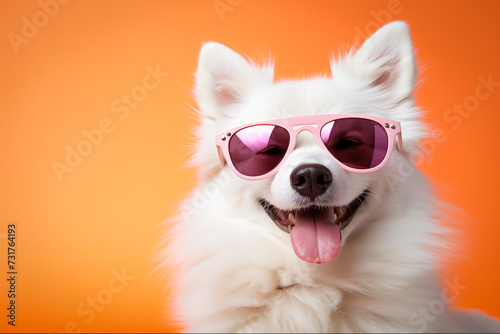 White Fluffy Dog Rocking Sunglasses, Adding Charm to Summer Scenes, Generative Ai © wannapong