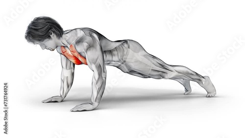 Muscular man character training Chest-Bodyweight-Push Up workout - 3d render photo