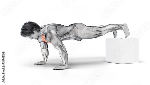 3d render of muscular male character training Chest Bodyweight Push Up and highlighting the effect photo