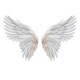 Realistic angel white wings on white background
