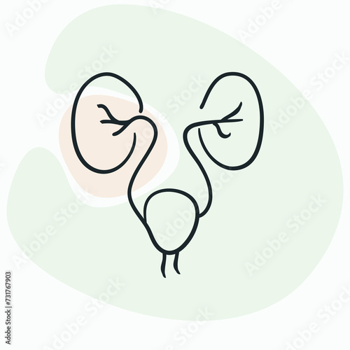 Urologists evaluate and manage urinary incontinence, which is the involuntary loss of bladder control