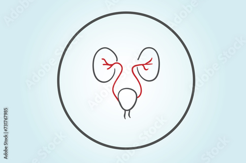 Urologists may perform diagnostic tests such as urodynamic studies, cystoscopy, and imaging studies to evaluate the underlying causes of urinary incontinence
