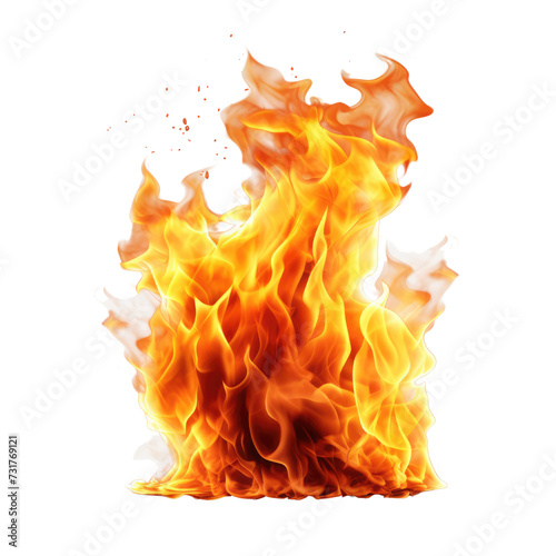 Realistically burning fires flames on white background