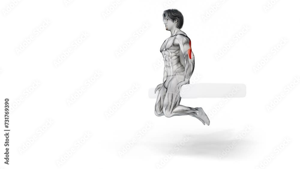 3d render of muscular character doing triceps workout 3d render of muscular character doing triceps workout