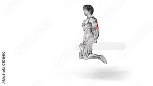 3d render of muscular character doing triceps workout photo