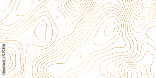 Abstract background with topographic contours map .white wave paper and geographic golden line abstract background .vector illustration of topographic line contour map design . photo