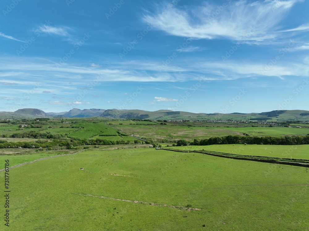 Drone view of farm fields covered in greenery on a sunny day