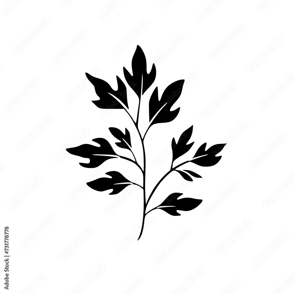 Fototapeta premium botanical svg, floral svg, flower svg, botanical clipart, floral clipart, flower clipart, wildflower svg, plant svg, floral bundle svg, line art svg, floral line art svg, Plants svg file, Cactus cut 
