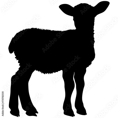 Silhouette lamb black color only