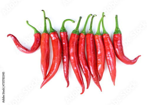 Chilli red peppers in line isolated on white background. Bunch of Long red hot peppers, aligned in horizontal row. Cayenne peppers