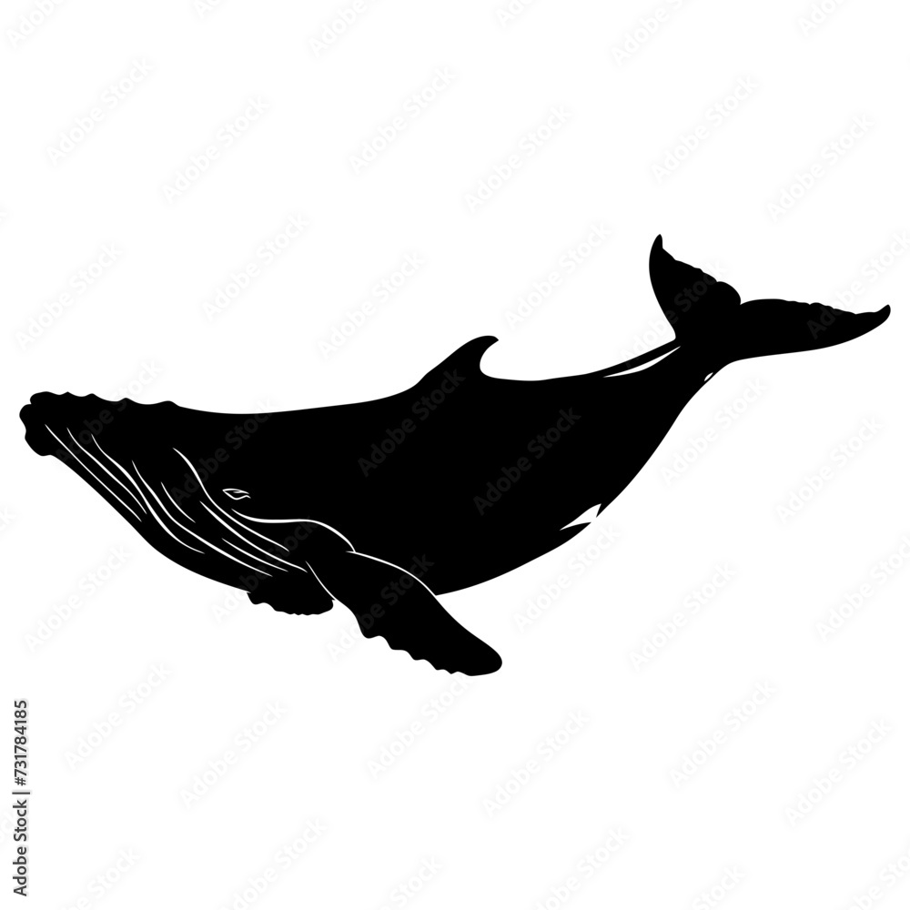 Silhouette whale black color only full body Silhouette whale black color only full body