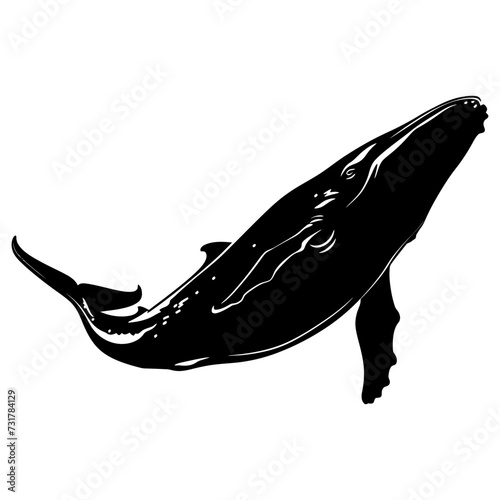 Silhouette whale black color only full body