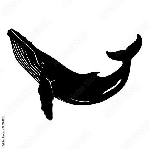 Silhouette whale black color only full body