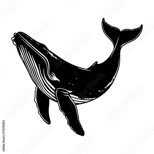 Silhouette whale black color only full body