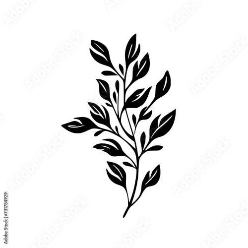 Leaf vector  herb silhouette  silhouette plant  silhouette flower  silhouette floral  silhouette plant  plantpot  leaf  tree  plant  nature  vector  bamboo  pattern  branch  silhouette  floral  flower