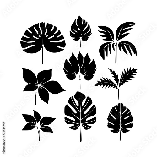 Leaf vector  herb silhouette  silhouette plant  silhouette flower  silhouette floral  silhouette plant  plantpot  leaf  tree  plant  nature  vector  bamboo  pattern  branch  silhouette  floral  flower