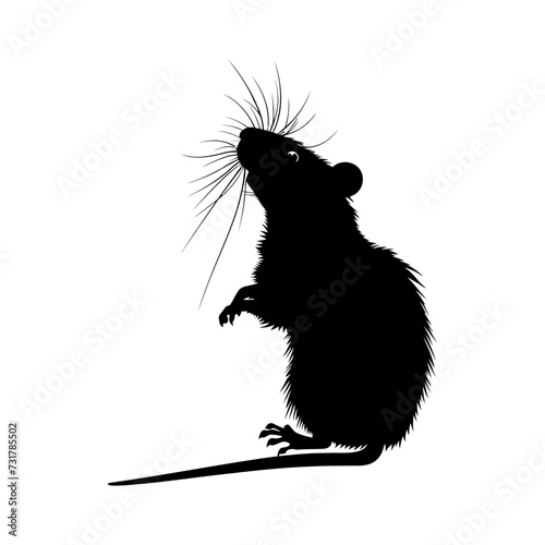 Silhouette rat black color only full body 