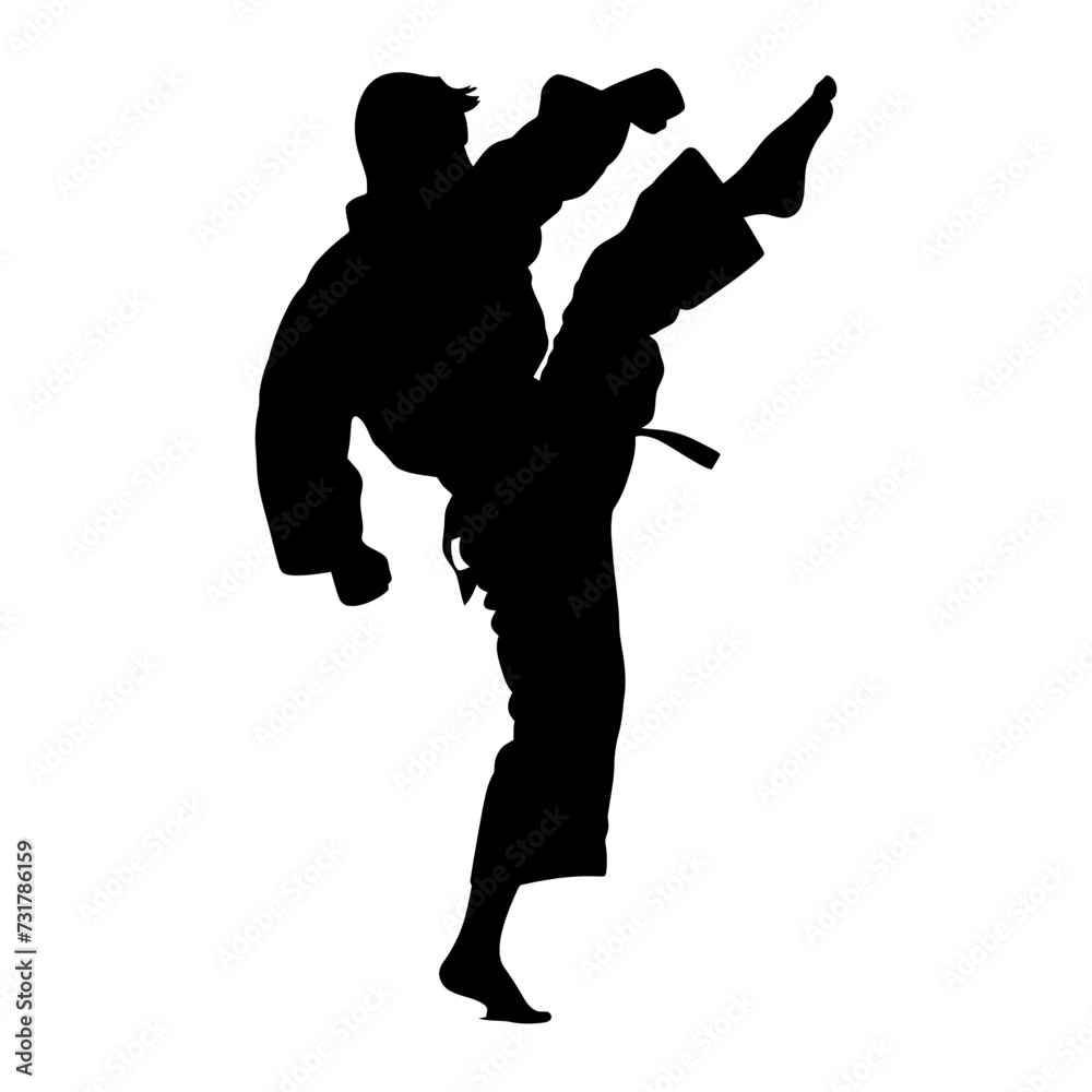 Silhouette tae kwon do or karate kick full body black color only Silhouette tae kwon do or karate kick full body black color only